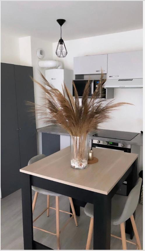 Appartement Cosy Et Bien Equipe Nanterre Zewnętrze zdjęcie